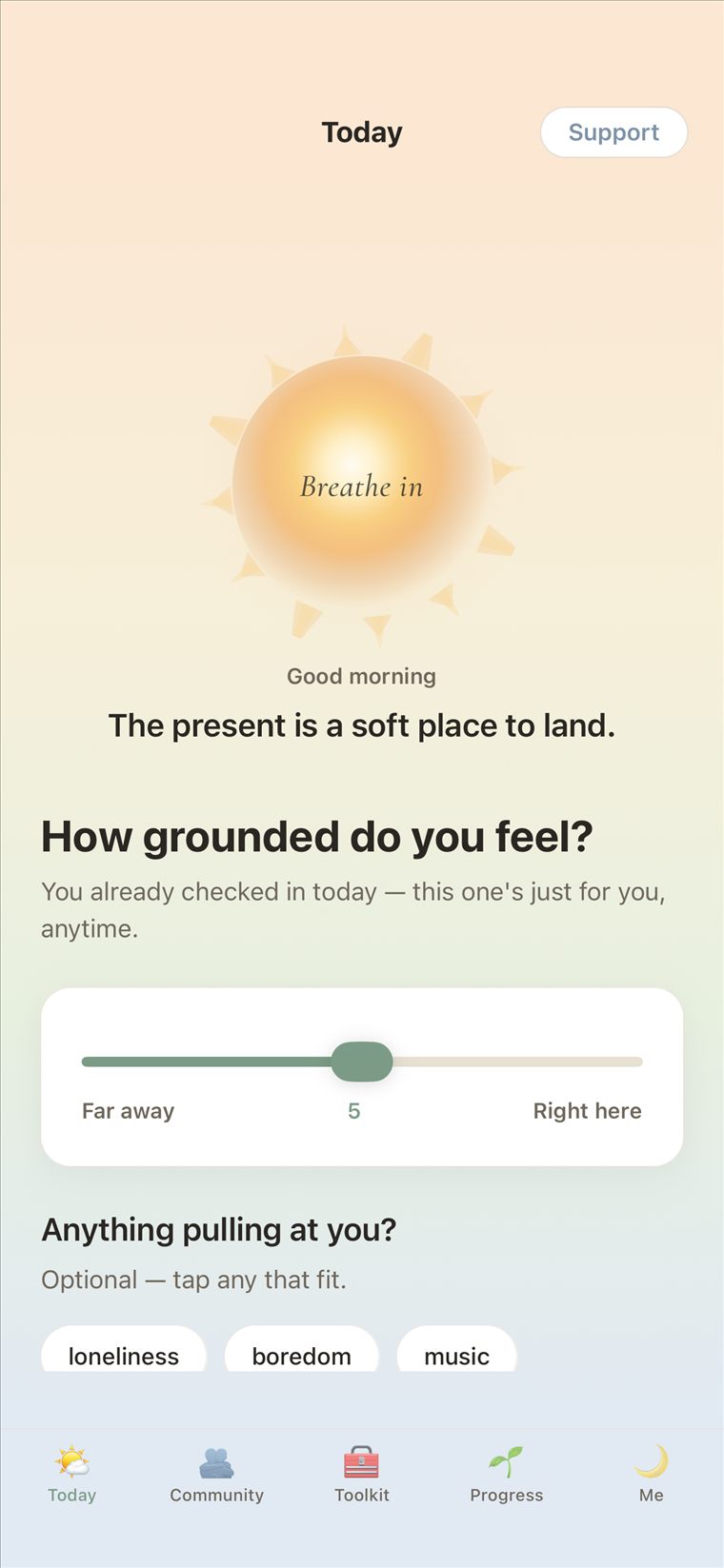Driftless Today screen — a breathing sun and a grounding check-in